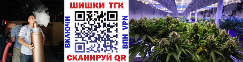 Канабис планчик  сколько стоит  Томмот 