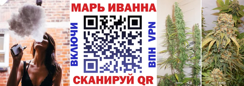 Конопля сатива Томмот